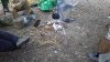 Suffolk April 2016 013.jpg