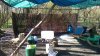 Suffolk April 2016 020.jpg