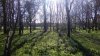 Suffolk April 2016 021.jpg