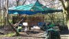 Suffolk April 2016 022.jpg