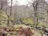 DSCF1747.jpg