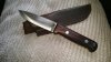 20160505_103943.jpg