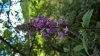 WP_20160714_16_29_56_Pro.jpg