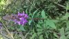 WP_20160714_16_29_46_Pro.jpg