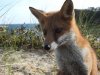 DSCN1081.jpg