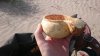 DSC_0176.jpg