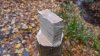 WP_20161120_14_02_55_Pro.jpg