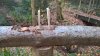 WP_20161123_15_44_07_Pro.jpg