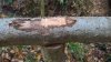 WP_20161123_15_47_02_Pro.jpg