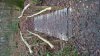 WP_20161218_13_13_58_Pro.jpg