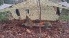 20161211_101928_HDR.jpg