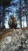 IMG-20170128-WA0001.jpg