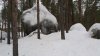 20170129_114429.jpg