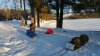 20170130_103827.jpg