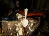 DSC07661.jpg