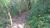 WP_20170416_12_18_46_Pro.jpg