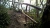 WP_20170418_19_37_22_Pro.jpg