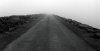 beaten path-01.jpg