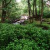 IMG_20170703_134317_617.jpg