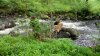 IMG_20170701_181536.jpg