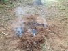 Dakota Fire Issue!.jpg
