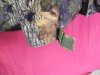 DSCF5765.jpg