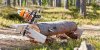 logosol_big-mill-timberjig_3391.jpg