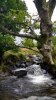 IMG_20170819_132503483_HDR.jpg