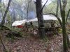 PA210002.jpg