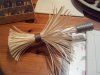 brush1.jpg