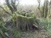 DSCN6352.jpg