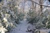 IMG_1849 - 2056 - 25.jpg