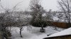 IMG_20171210_130138.jpg