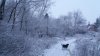20171210_081051.jpg