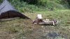 IMG_20170923_130310.jpg
