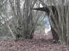 DSCF1659.JPG