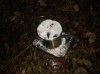DSCF1673.JPG
