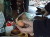 DSCF1662.JPG