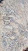 spalted hornbeam1.jpg