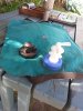 20180419_123124.jpg