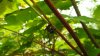 DSCN3411.JPG