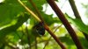 DSCN3416.JPG