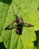20180604_093951.jpg