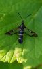 20180604_093901.jpg