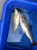 IMG-20180625-WA0009.jpg