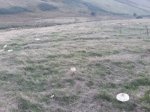 20180910_172729.jpg