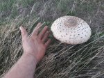 20180910_172820.jpg
