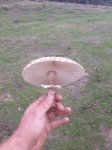 20180910_142638.jpg