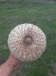 20180910_142642.jpg