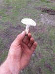 20180912_111057.jpg